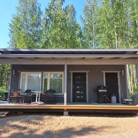 Modern In Saimaa * Enonkoski