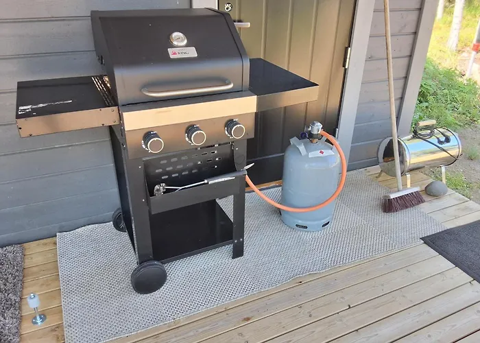 度假居 Modern In Saimaa