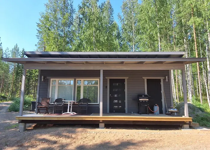 Modern In Saimaa * Enonkoski